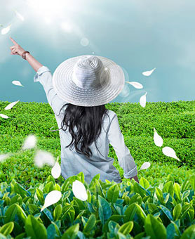 腾博官网-诚信为本,专业服务!