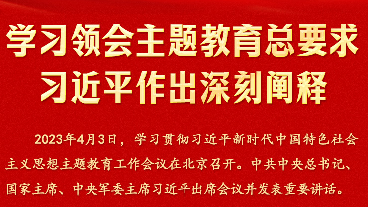 学习体会主题教育总要求 习近平作出深刻阐释